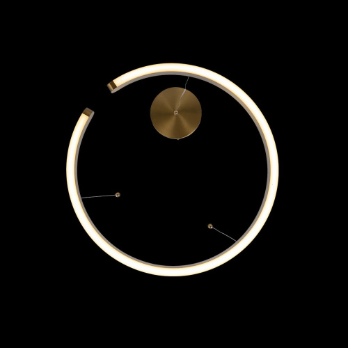 10013S Подвесной светильник LOFT IT Ring фото 4 10013S Подвесной светильник LOFT IT Ring фото 4