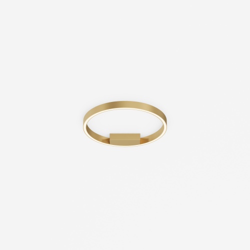 Потолочный светильник Maytoni MOD058CL-L25BSK фото 2