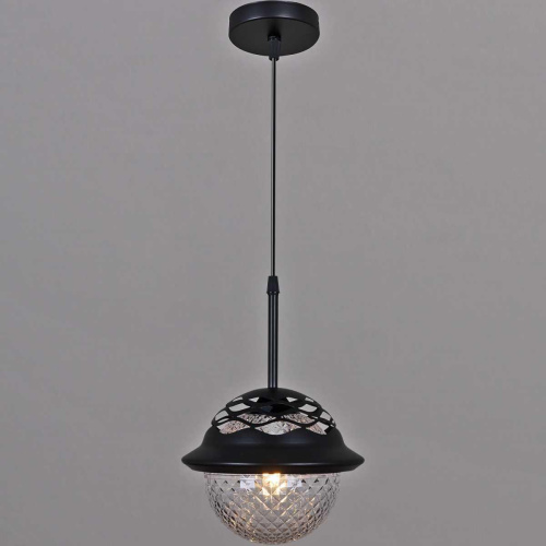 Люстра подвесная Reluce 05905-0.9-01 BK