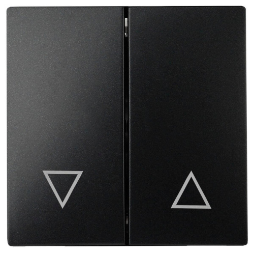 Лицевая панель ЭРА выключателя двухклавишного антрацит 12-6203-05 Б0047854 Лицевая панель ЭРА выключателя двухклавишного антрацит 12-6203-05 Б0047854