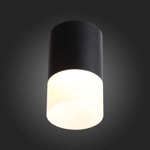 ST100.402.05 Светильник потолочный Черный LED 1*5W 3000K 390Lm Ra>80 120° D64xH110 170-240VV Накладные светильники фото 3