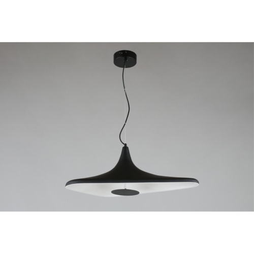 Светильник подвесной APL.649.06.08 фото 2