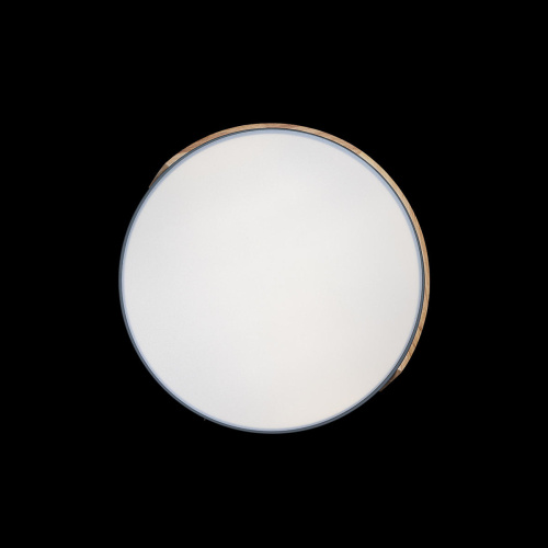 10004/36 Grey Потолочный светильник LOFT IT Axel фото 6