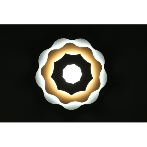 Светильник настенный (Бра) OML-07901-26 фото 3 Светильник настенный (Бра) OML-07901-26 фото 3