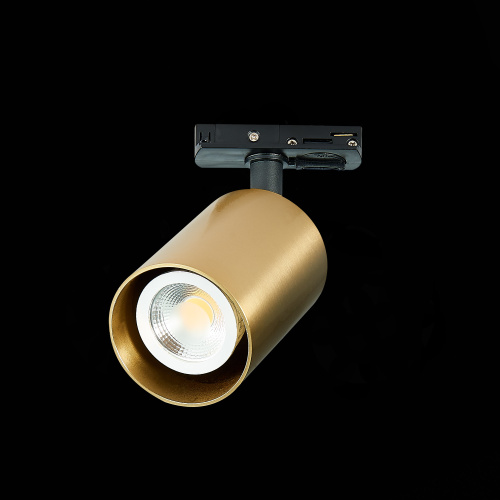ST302.206.01 Св-к трек. Золотистый GU10 1*50W  IP20 L100xW70xH172 220V Без ламп BASE фото 4