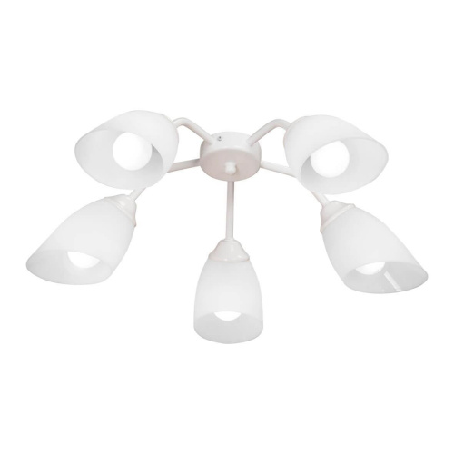 Потолочная люстра Vitaluce V3195/5PL Потолочная люстра Vitaluce V3195/5PL