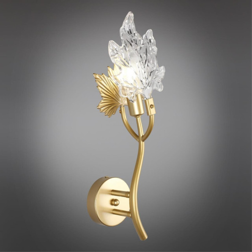 Светильник настенный (Бра) OML-52701-01 фото 3