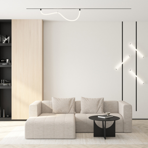 DK8065-BK Рассеивающий матовый светильник SMART RAY 12W DIM 3000K-6000K, черный, акрил, алюминий фото 3