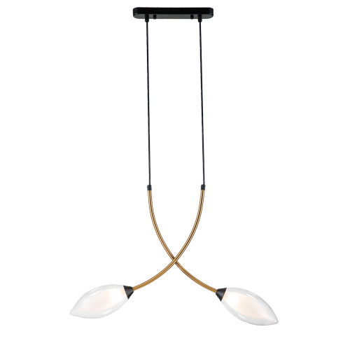 Подвесной светильник 13001/2P Black