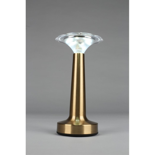 Настольная лампа OML-40204-01 фото 7