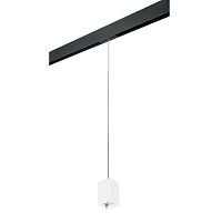 Комплект с трековым светильником Lightstar Rullo (216336+595957) PRORP336