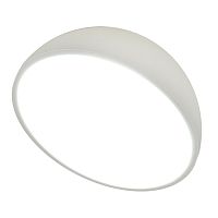 Потолочный светильник Escada 20025SMA/01 LED 15W белый