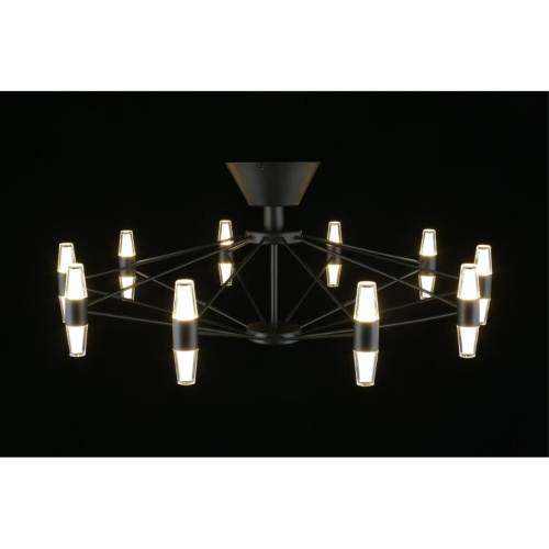 Люстра потолочная APL.865.07.60 фото 10