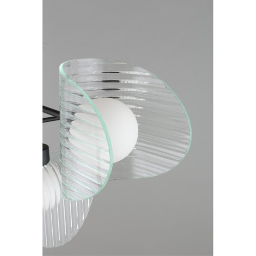 Люстра потолочная OML-52407-06 фото 8