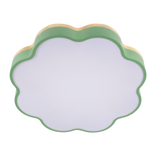 10225/36 Green Потолочный светильник LOFT IT Axel фото 7 10225/36 Green Потолочный светильник LOFT IT Axel фото 7