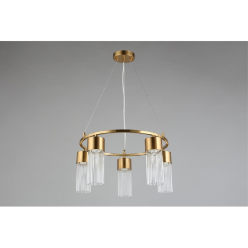 Люстра подвесная OML-67103-05 фото 5 Люстра подвесная OML-67103-05 фото 5