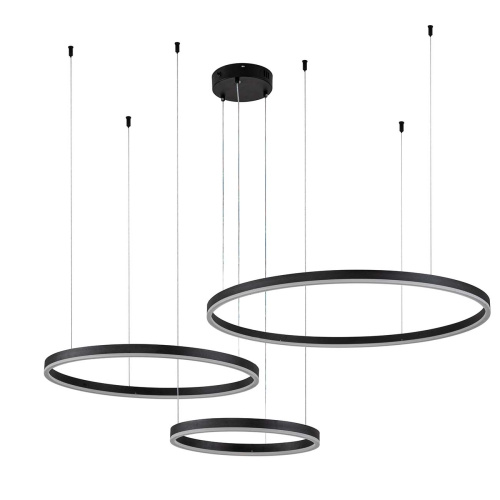 Подвесной светильник 14001/3P Black фото 2