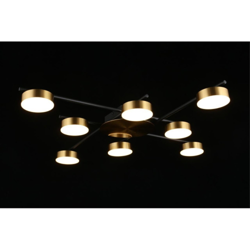 Люстра потолочная APL.042.07.56 фото 8