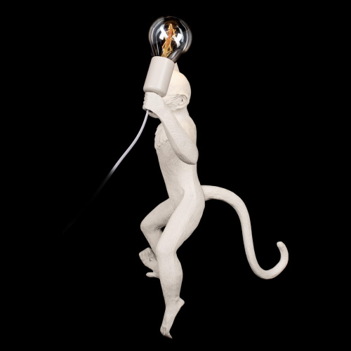 10314W/B Настенный светильник LOFT IT Monkey фото 4 10314W/B Настенный светильник LOFT IT Monkey фото 4