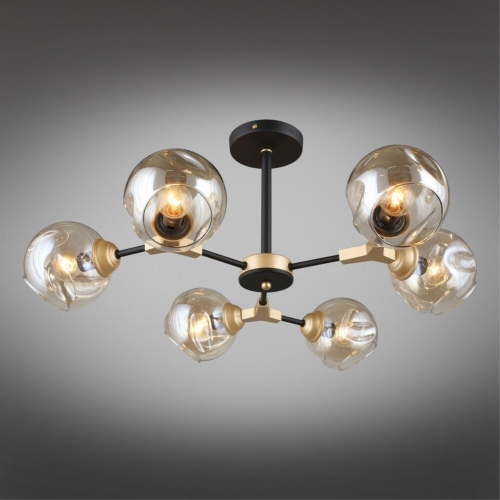 Люстра потолочная OML-93607-06 фото 3