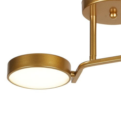 Потолочный светильник Escada 10273/2 LED*24W Champagne gold фото 2