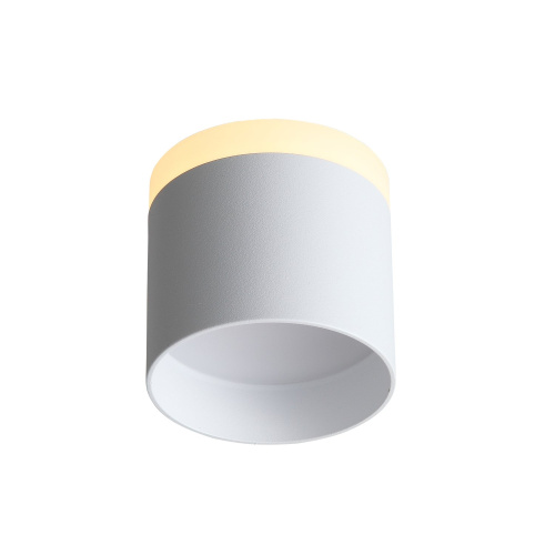 ST102.502.09 Светильник потолочный Белый LED 1*9W 3000K 702Lm Ra>80 120° IP20 D79xH75 170-240V Накладные светильники фото 2