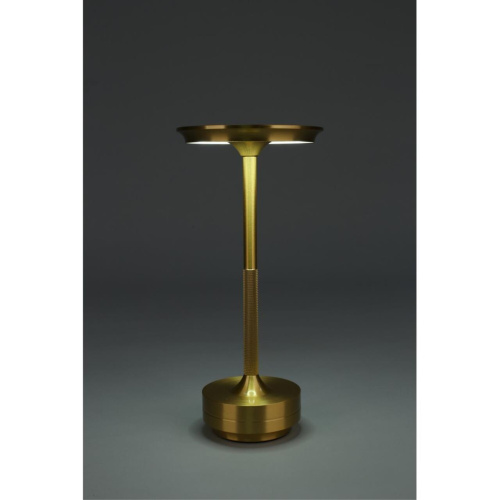 Настольная лампа OML-40414-01 фото 3