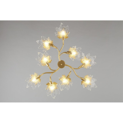 Люстра потолочная OML-52707-09 фото 10