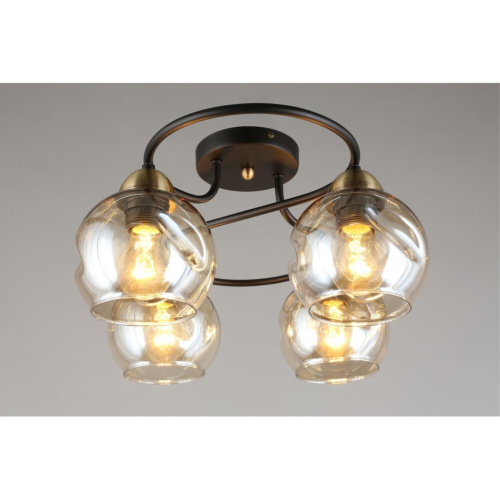 Люстра потолочная OML-95007-04 фото 9