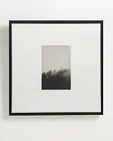 Интерьерный постер "Foggy forest"