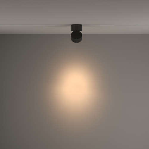 Трековый светильник Technical TR084-1-15W3K-D-B фото 2