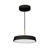 Подвесной светодиодный светильник Arlight SP-ELEGANT-R300-17W 033920(1)