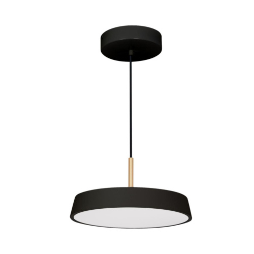 Подвесной светодиодный светильник Arlight SP-ELEGANT-R300-17W 033920(1) Подвесной светодиодный светильник Arlight SP-ELEGANT-R300-17W 033920(1)