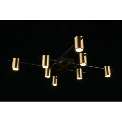 Люстра потолочная APL.633.07.08 фото 4