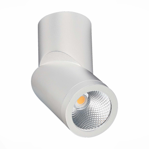 ST650.532.10 Светильник потолочный Белый LED 1*10W 3000K 800Lm Ra>90 38° IP44 D62xH151 165-265V Накладные светильники фото 4