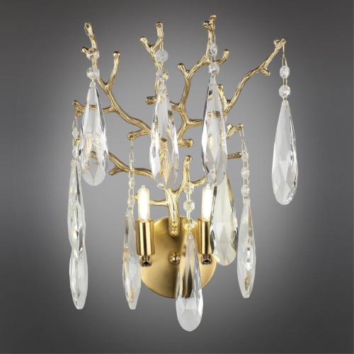 Светильник настенный (Бра) OML-52901-02 фото 3