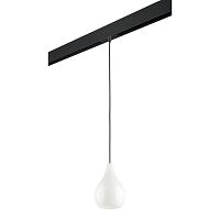 Комплект с трековым светильником Lightstar Pentola (803030+595007) PRO803030