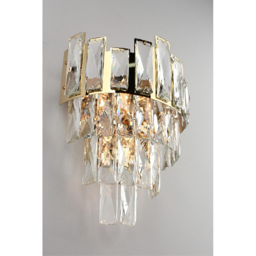 Светильник настенный (Бра) OML-67901-02 фото 6