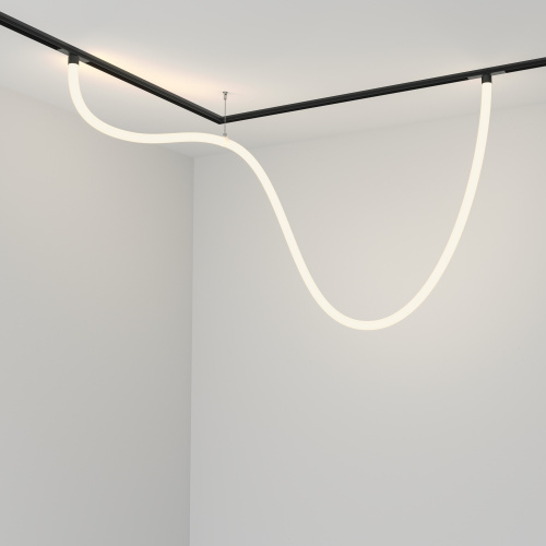 Трековый подвесной светильник Technical TR101-2-50W4K-B фото 5