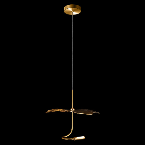 10395 Подвесной светильник LOFT IT Aronos фото 2 10395 Подвесной светильник LOFT IT Aronos фото 2