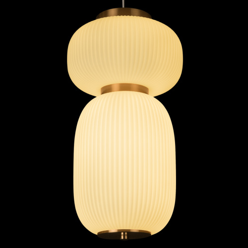 10422/B Подвесной светильник LOFT IT Duff фото 8