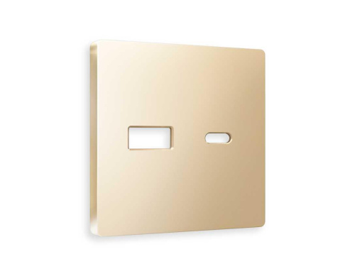 Лицевая панель розетки AMBRELLA VOLT AP6110