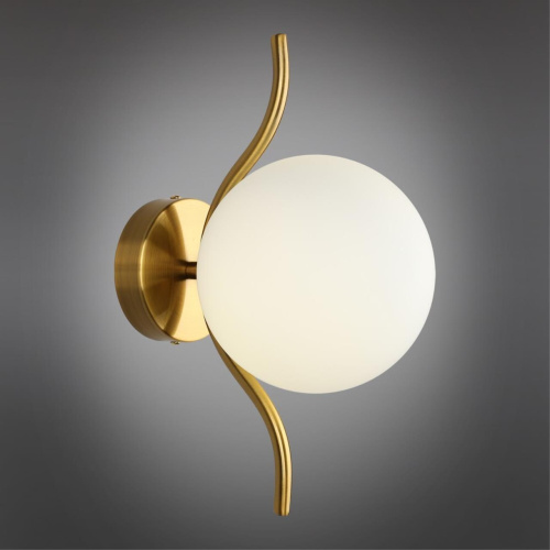 Светильник настенный (Бра) APL.312.11.01 фото 3