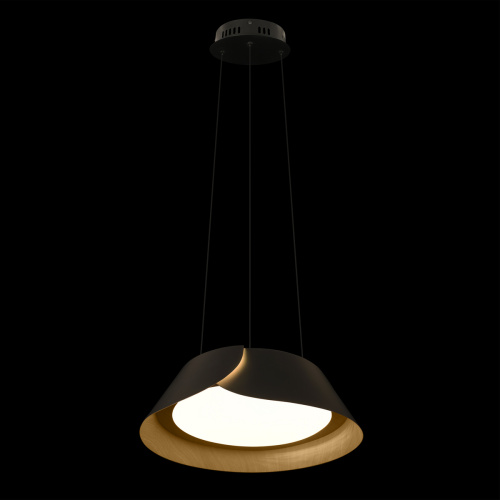 10370P Black Подвесной светильник LOFT IT Lane фото 3 10370P Black Подвесной светильник LOFT IT Lane фото 3