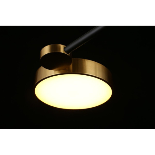 Люстра потолочная APL.043.07.65 фото 14