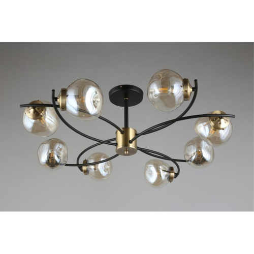 Люстра потолочная OML-95307-08 фото 5