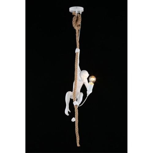 Светильник подвесной APL.309.06.01 фото 9