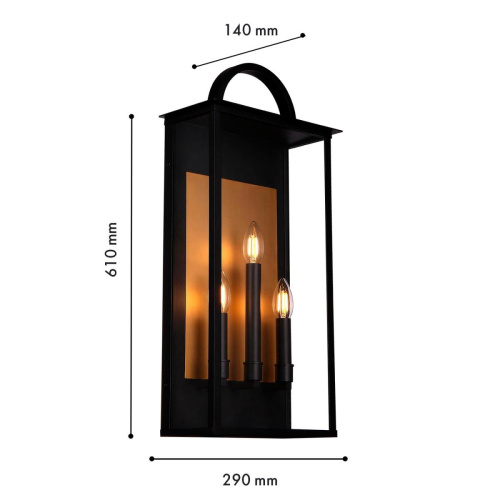 Уличный настенный светильник Favourite Lume 4299-3W фото 2