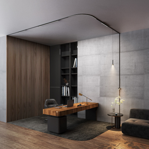 Трековый светильник 12W 3000K Mini Magnetic 85171/01 фото 4