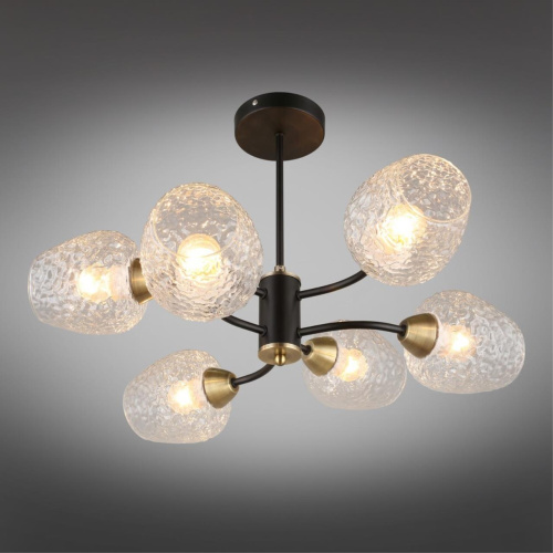 Люстра потолочная OML-67807-06 фото 3